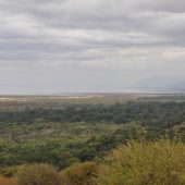  Lake Manyara, TZ